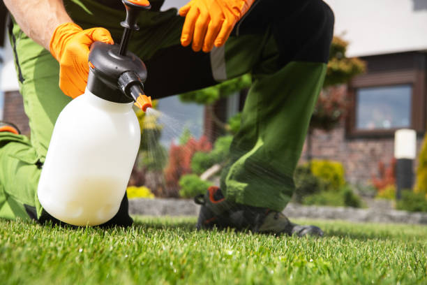 Best Pest Control for Homes  in Winston Salem, NC