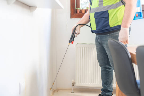 Best Local Pest Control Services  in Winston Salem, NC