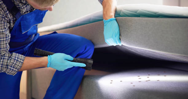 Best Residential Pest Control  in Winston Salem, NC