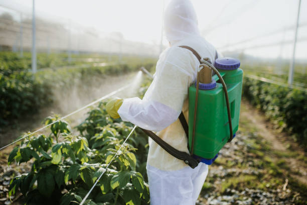 Best Pest Control for Restaurants  in Winston Salem, NC